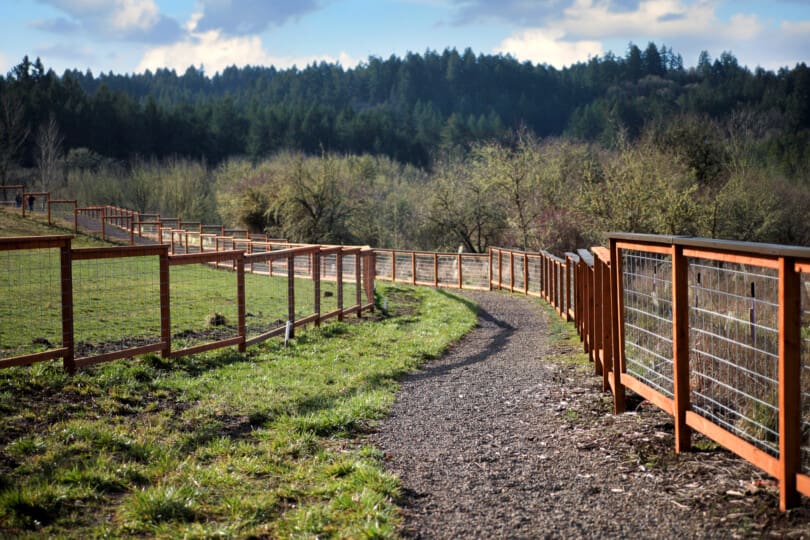 Ponderosa Ridge new home community in Corvallis, OR gallery image number 13