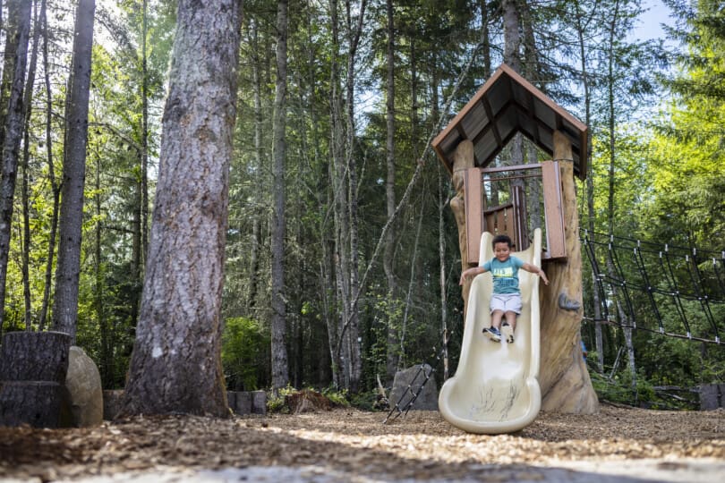 Glacier Pointe at Tehaleh new home community in Bonney Lake, WA gallery image number 46