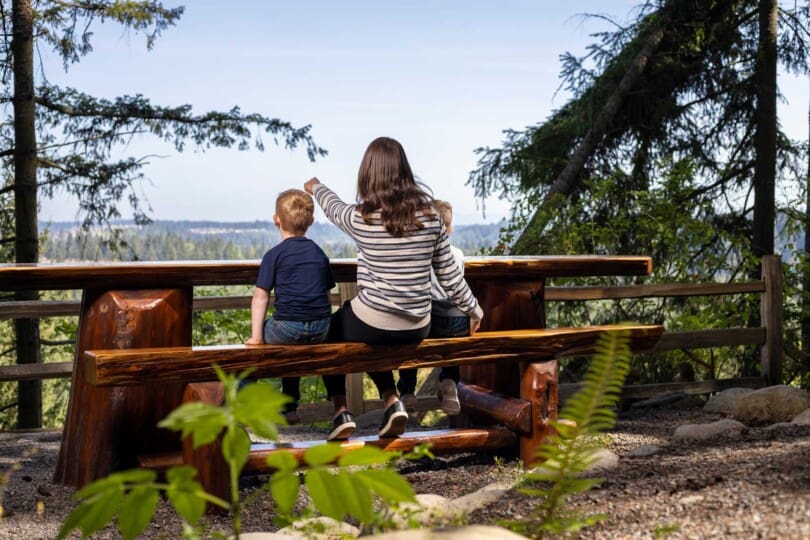 Glacier Pointe at Tehaleh new home community in Bonney Lake, WA gallery image number 38